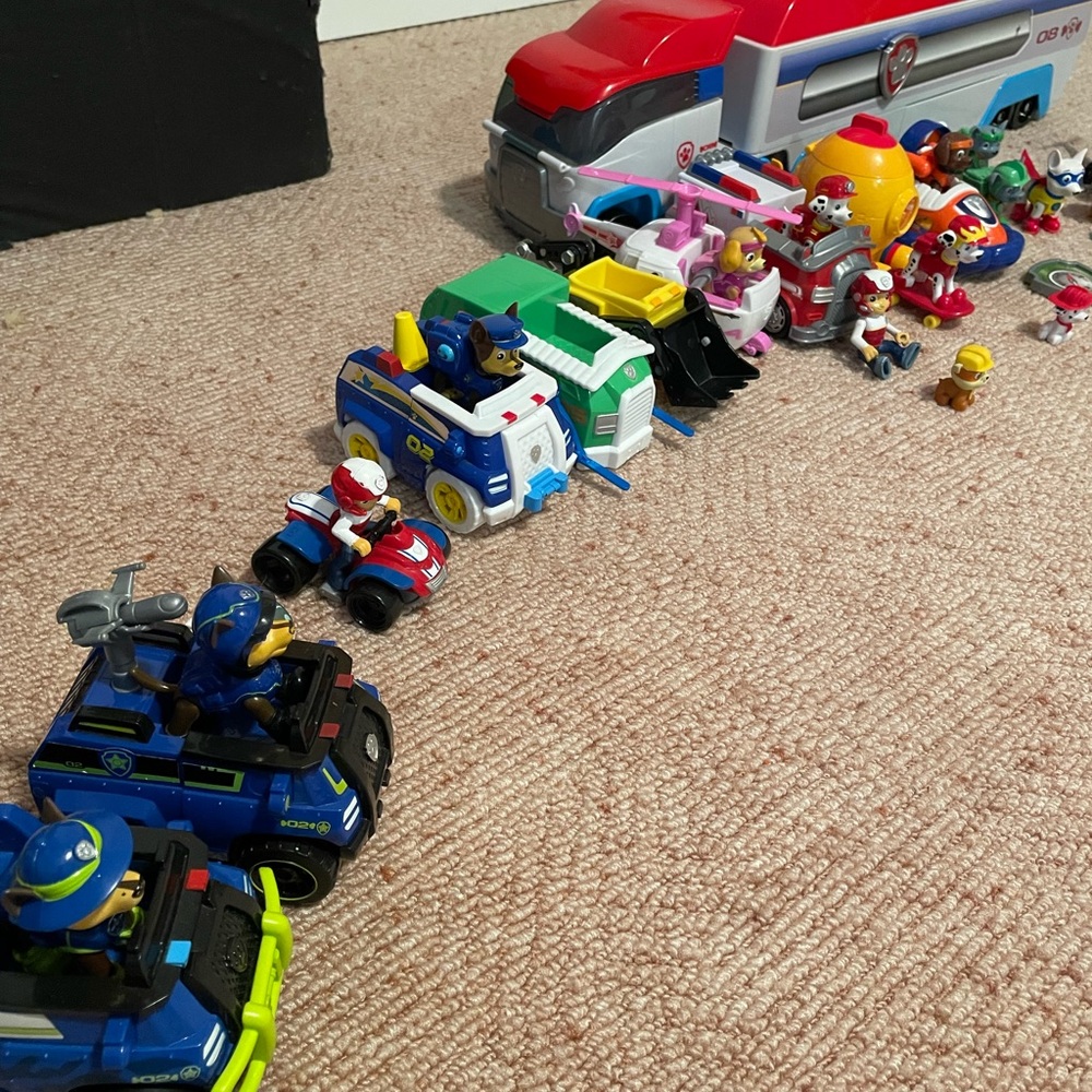 Paw Patrol Lot